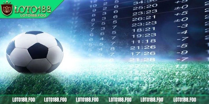 Giải thích chi tiết về kèo 1/2 Loto188